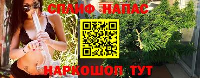 СК Владимир