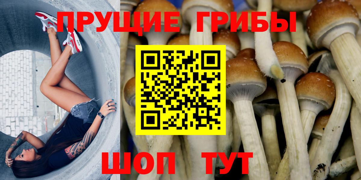 Псилоцибиновые грибы Psilocybine cubensis  Вход с VPN  Верхний Уфалей 