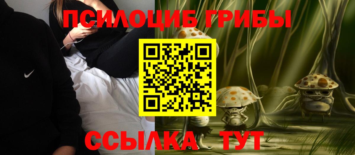 Галлюциногенные грибы Psilocybine cubensis Верхний Уфалей